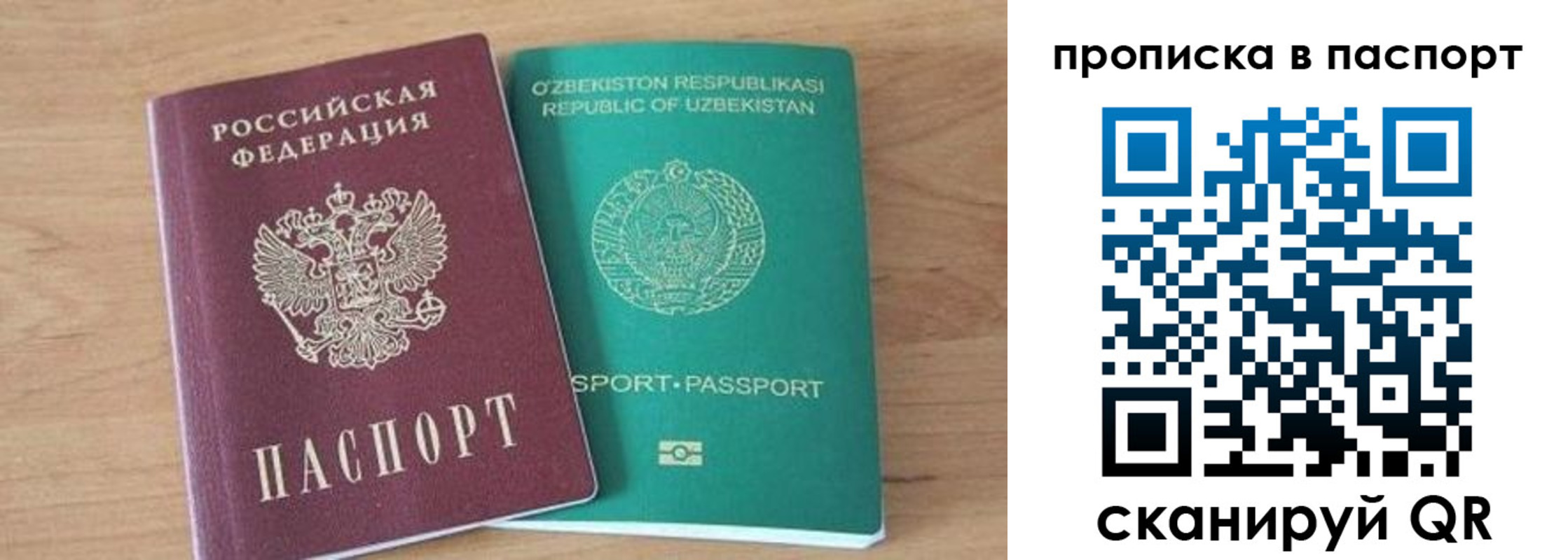 прописка в Ногинске